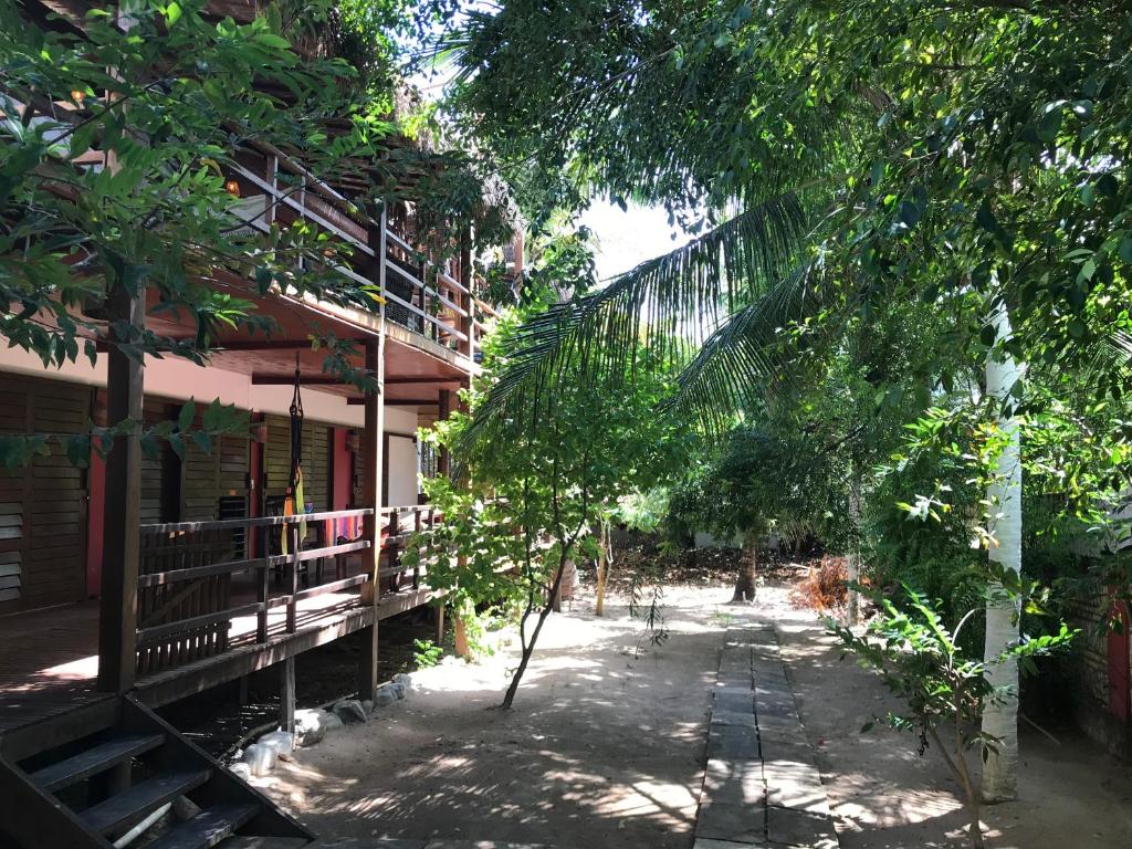 une cour d'une maison avec des arbres devant elle dans l'établissement Casa Bouganville apartamento 4, à Jericoacoara