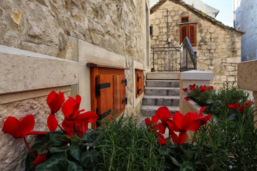 Zahrada ubytování Guesthouse Mirula