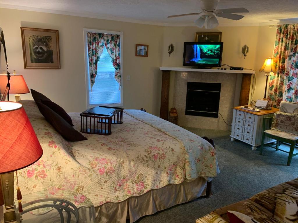 una camera con letto, TV e camino di Emerald Necklace Inn Bed and Breakfast a Lakewood