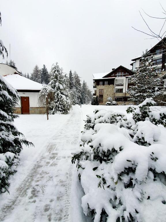 Pinewood ANG Apartment, Semiramida Borovets Hills - Apartamento De Una Habitación