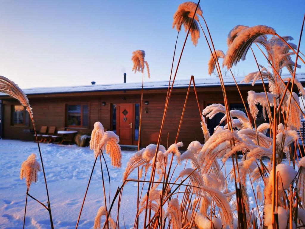 una cabaña en invierno con nieve en el suelo en Jaunstūrīši, en Ādaži