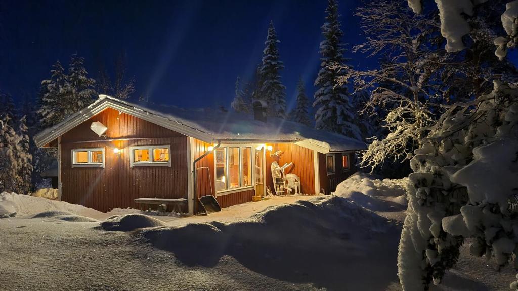 Fjätervålen的住宿－Holiday Home Fjätervålen Fjätstigen，夜晚雪中的一个小屋