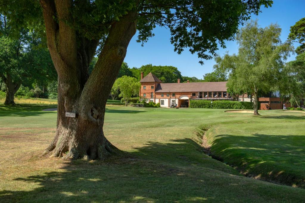 a large tree in front of a house at Cottesmore Hotel Golf & Country Club in Crawley
