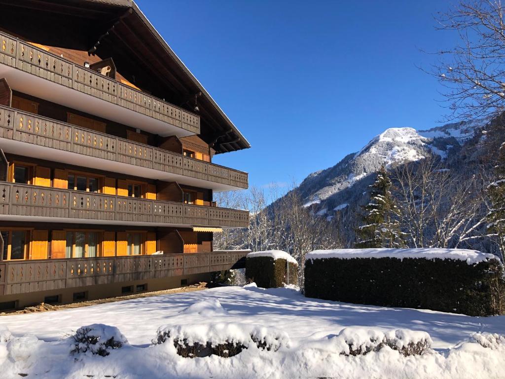 un hôtel dans la neige avec une montagne dans l'établissement Monteilly A6, à Champéry