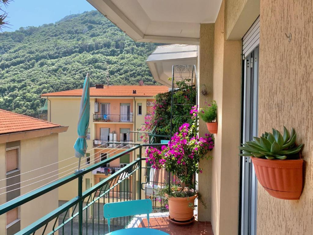 Výhľad na hory alebo výhľad na hory priamo z apartmánu
