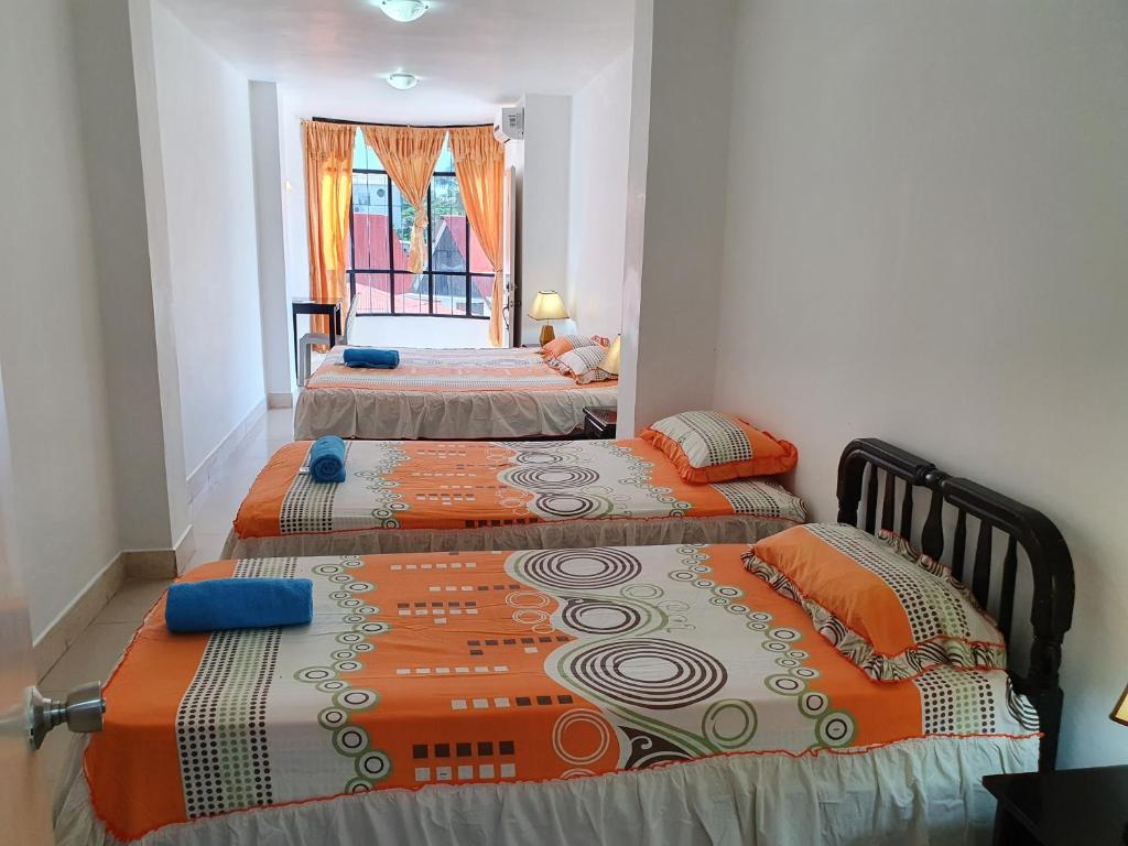 a bedroom with two beds and a window at Hostal Cerro Azul in Puerto Villamil