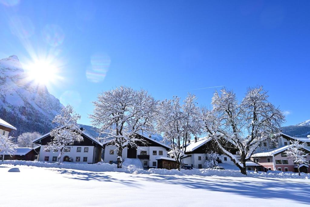 Príroda v okolí apartmánu