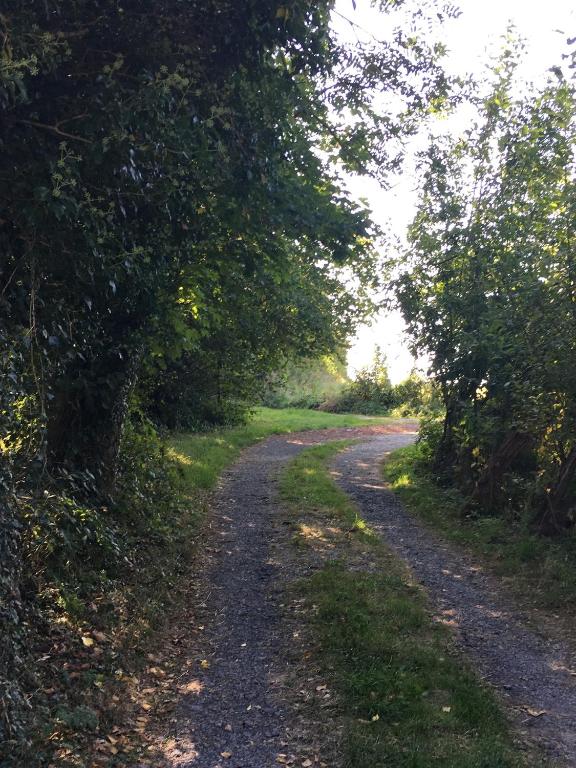 un chemin de terre avec des arbres des deux côtés dans l'établissement Duccio Cabana Hébergements Insolites, à Potelle