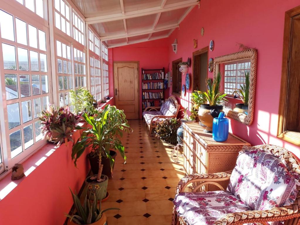 a room filled with lots of plants and windows at Los Molinos in Valles de Ortega