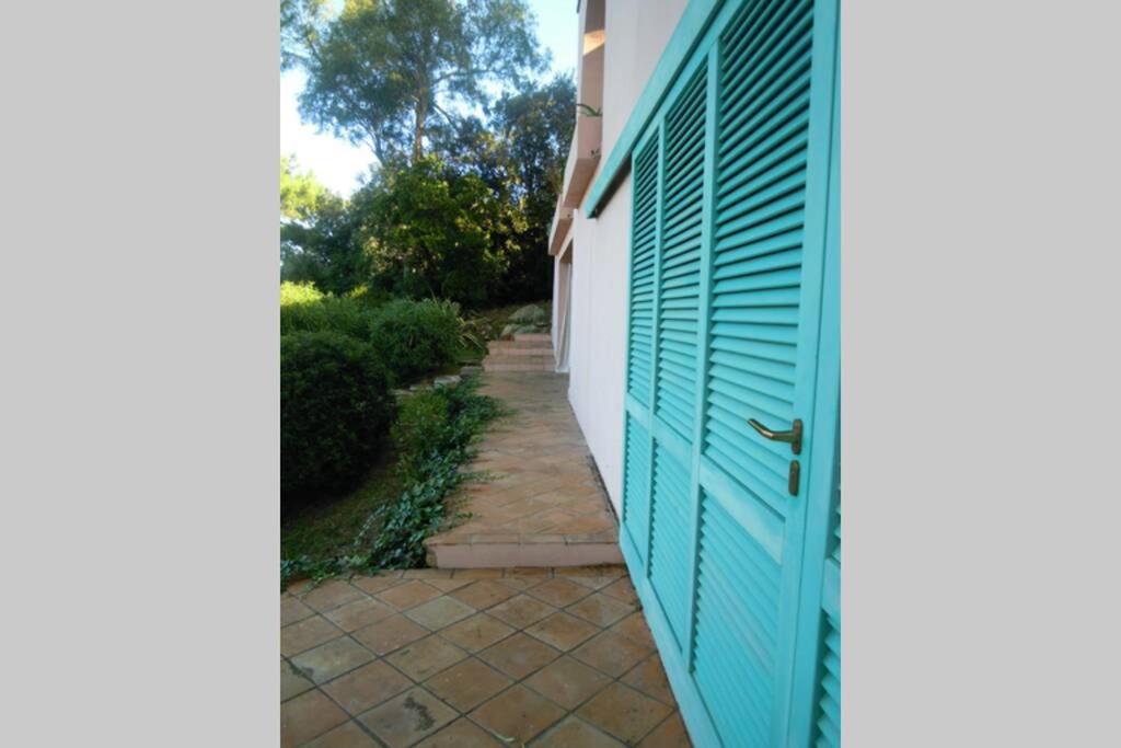 Mynd úr myndasafni af MINI SUITE ULIVO í Marciana Marina