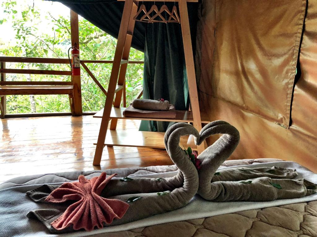 Fotografie z fotogalerie ubytování Tami Lodge v destinaci Providencia