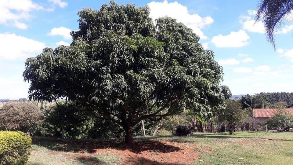  Sitio Beija-Flor Atibaia SP
