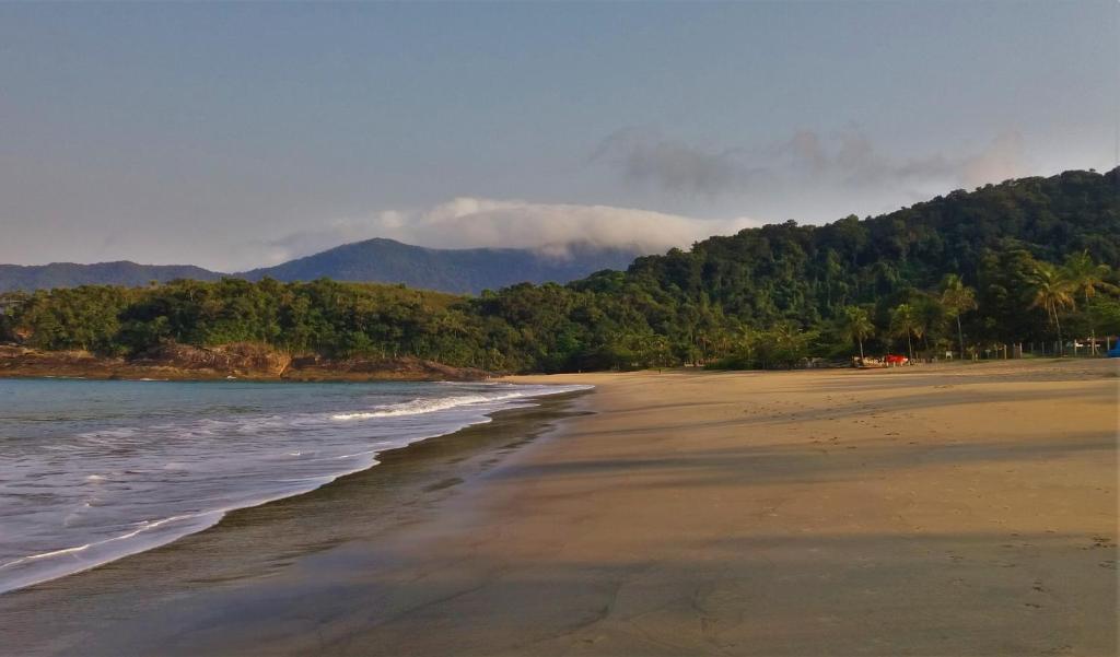 une plage avec des arbres et une montagne en arrière-plan dans l'établissement Refúgio Tranquilo em Paúba, à São Sebastião