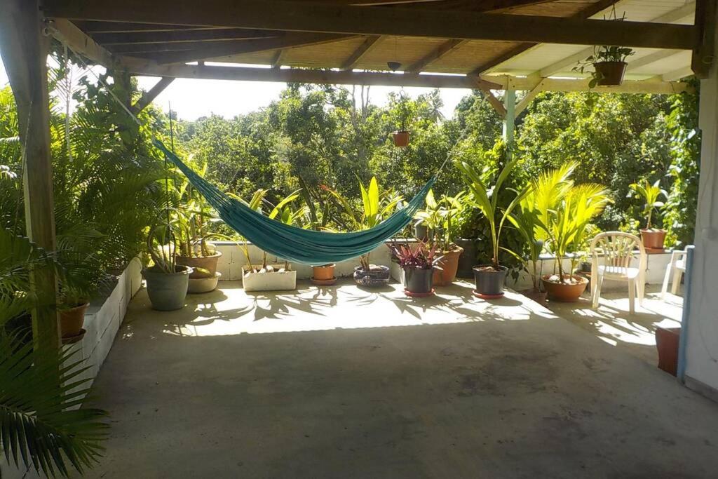 Appartement Studio Comfortable Et Tranquille Proche Marina Et Plages Guadeloupe Les Abymes Booking Com