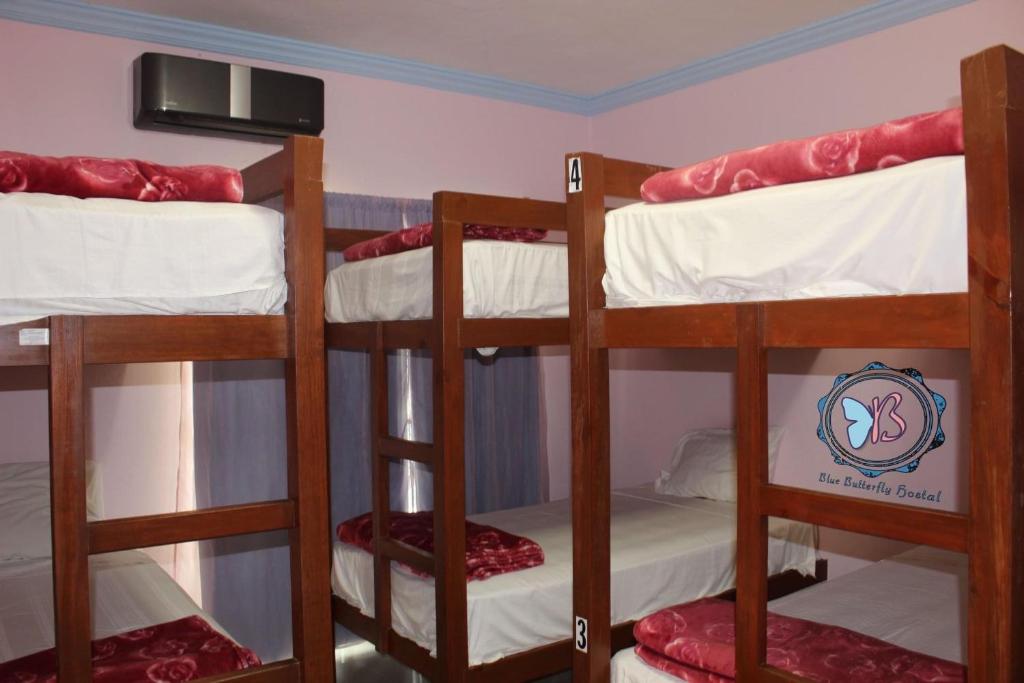 BLUE BUTTERFLY HOSTAL
