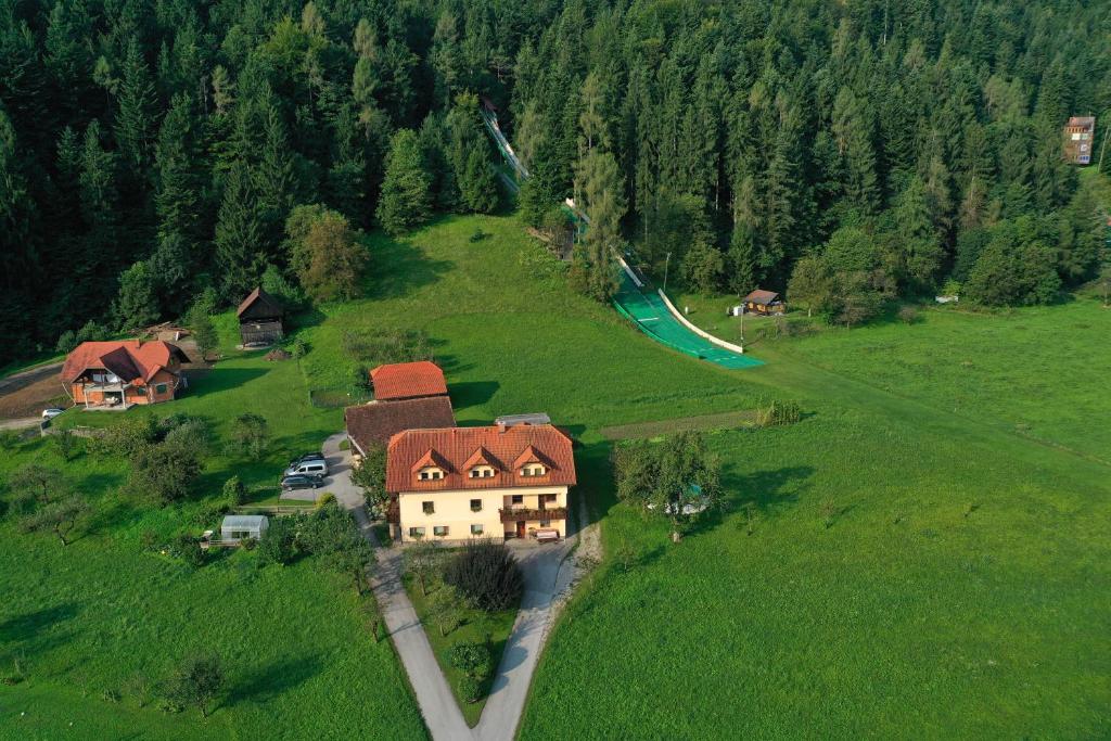 Příroda nedaleko farmy