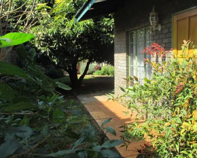 a garden with a house with a door and plants at Lutea Guest House in Mokopane