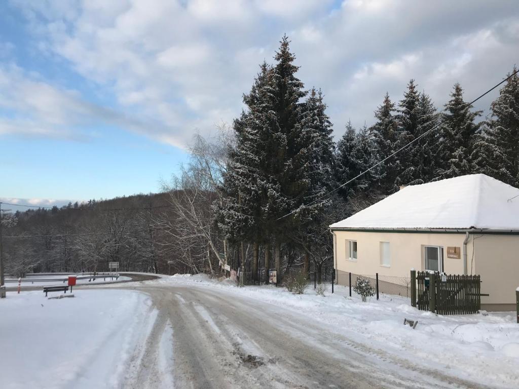 śnieżna droga z domem i drzewami w obiekcie 21 és fél Fenyő Vendégház w mieście Matraszentlaszlo