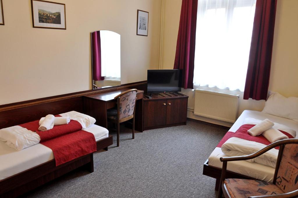 Hotel U Bílého koně - 7