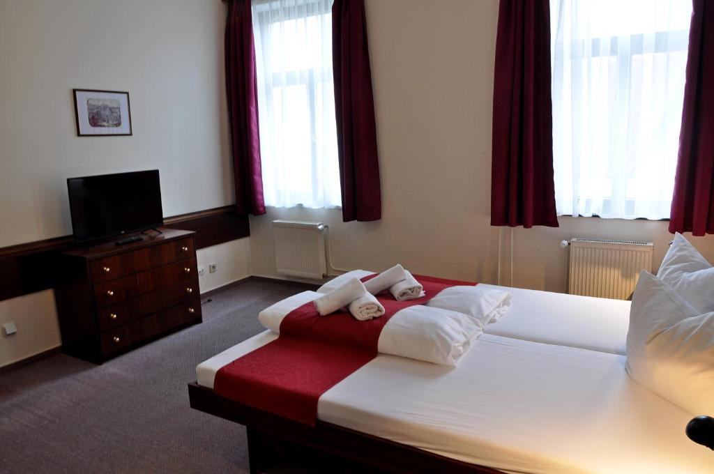 Hotel U Bílého koně - 15