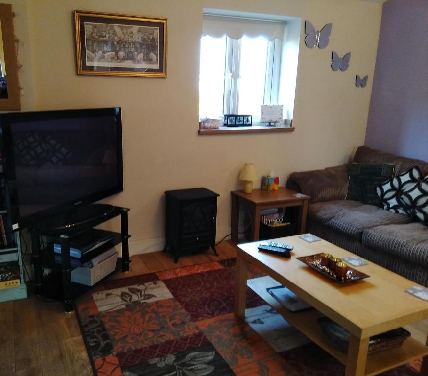 ein Wohnzimmer mit einem Sofa und einem Flachbild-TV in der Unterkunft Little Owls Nest Holiday Home in Wisbech