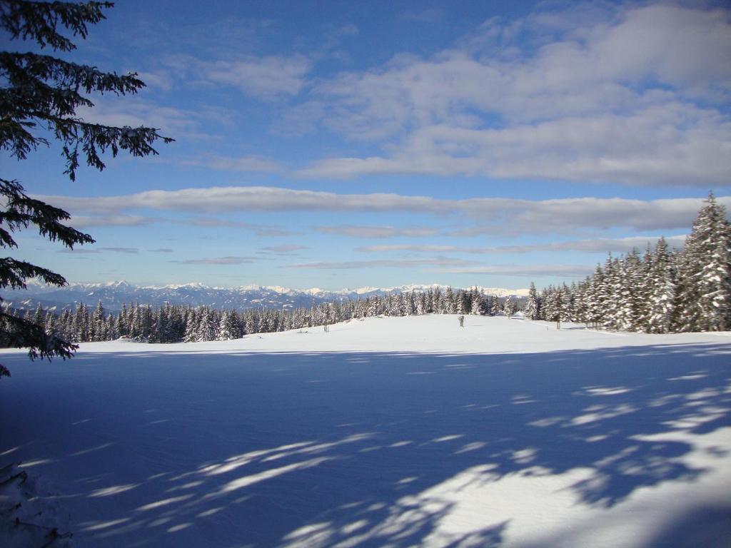 Chalet Teufelsteinblick взимку