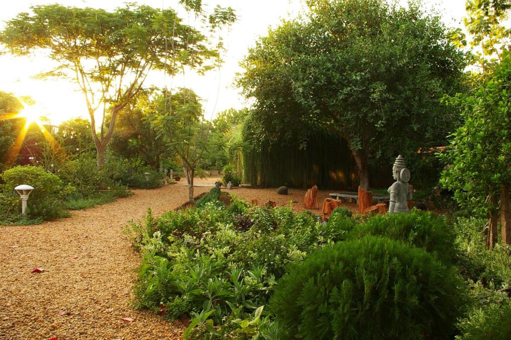 un jardín con un sendero y algunos arbustos y árboles en Gaia's Garden Guest House en Auroville