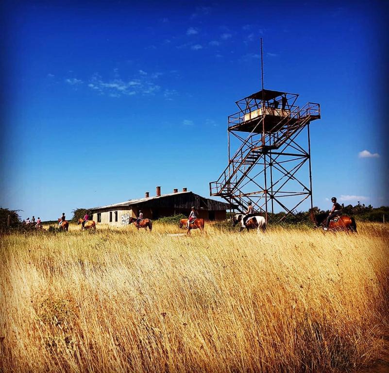a group of horses in a field with a tower at Holiday Home Aurora in Ližnjan
