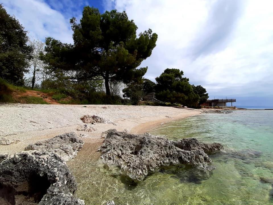 a beach with some trees and water and rocks at Holiday Home Aurora in Ližnjan
