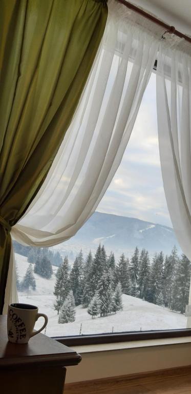 Bucovina Sky View during the winter