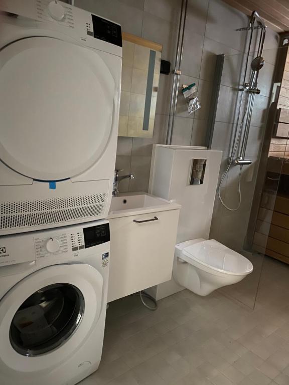 a bathroom with a washing machine and a toilet at Levin Kunkku B6 in Levi