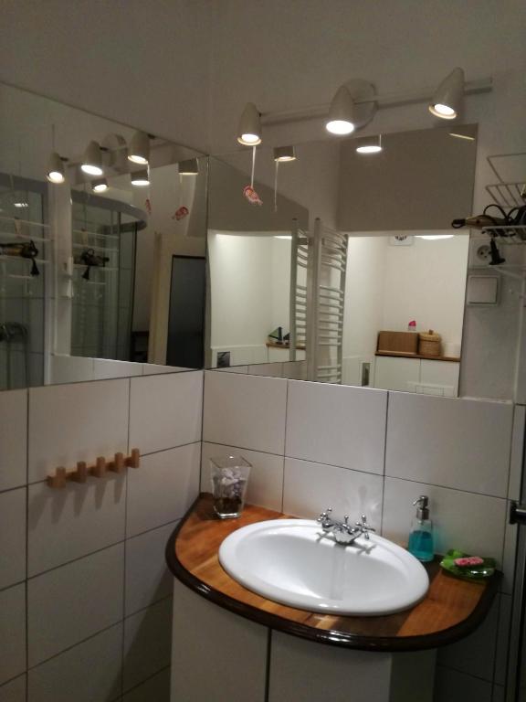 Koupelna v ubytování Apartmán u Mlsného medvěda