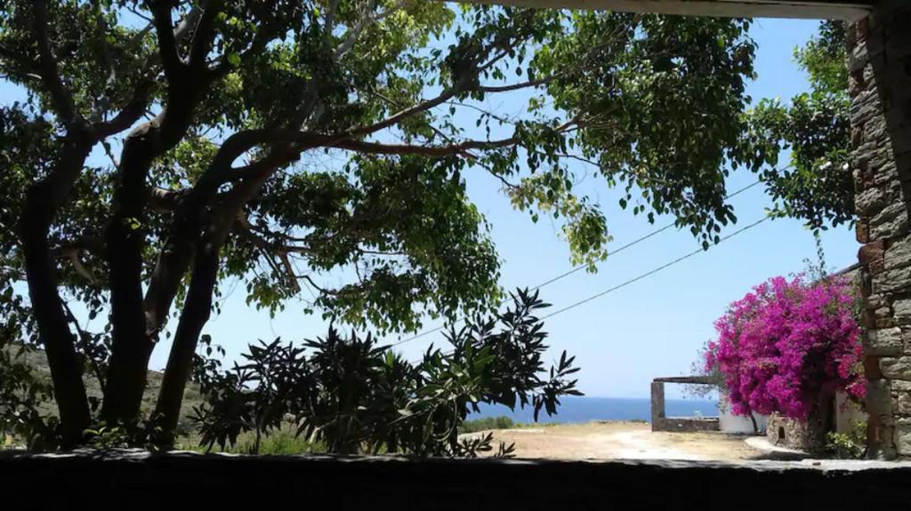 KoundourosにあるElea Koundourosの窓越しに木と海の景色を望む