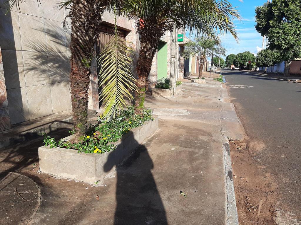 a shadow of a person taking a picture of a palm tree at Miru´s motel in Rio Verde