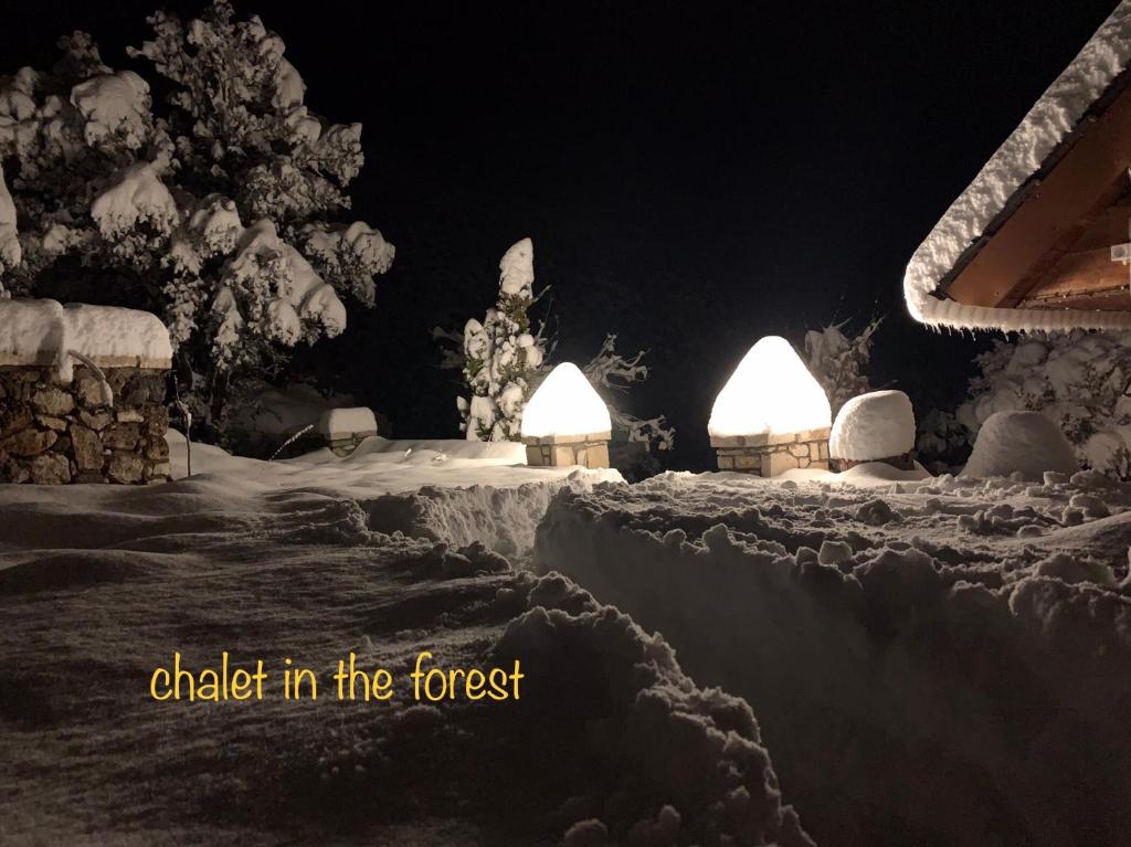Chalet in the Forest v zimě