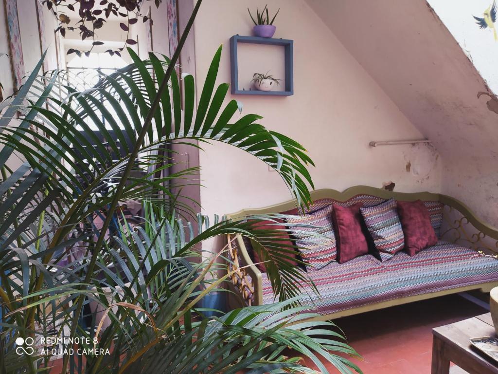 Casa Atenas
