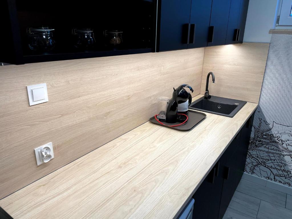 Kuchnia lub aneks kuchenny w obiekcie Apartament1 Tri-City Oliwa Ogród, prywatne wejście