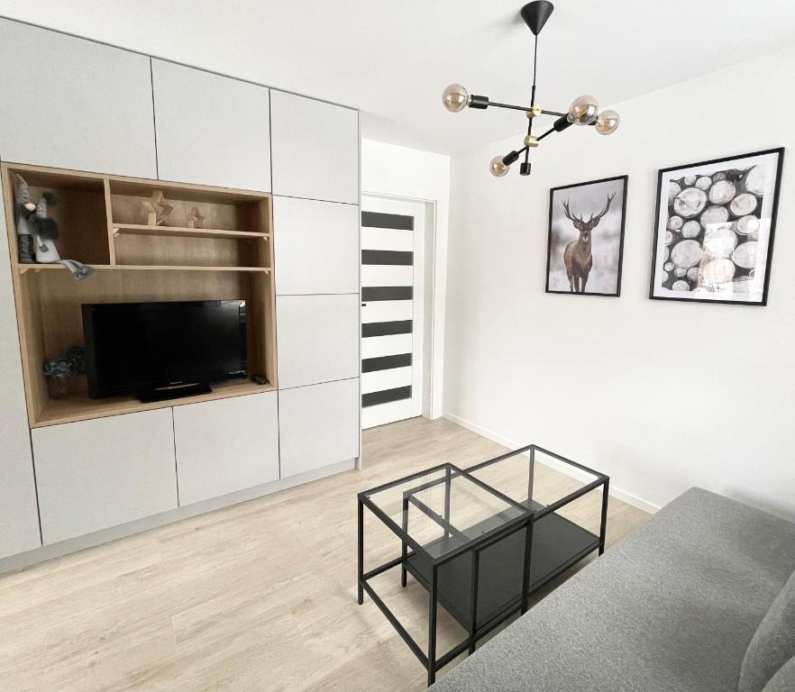 TV in/ali zabaviščno središče v nastanitvi Apartament Górska