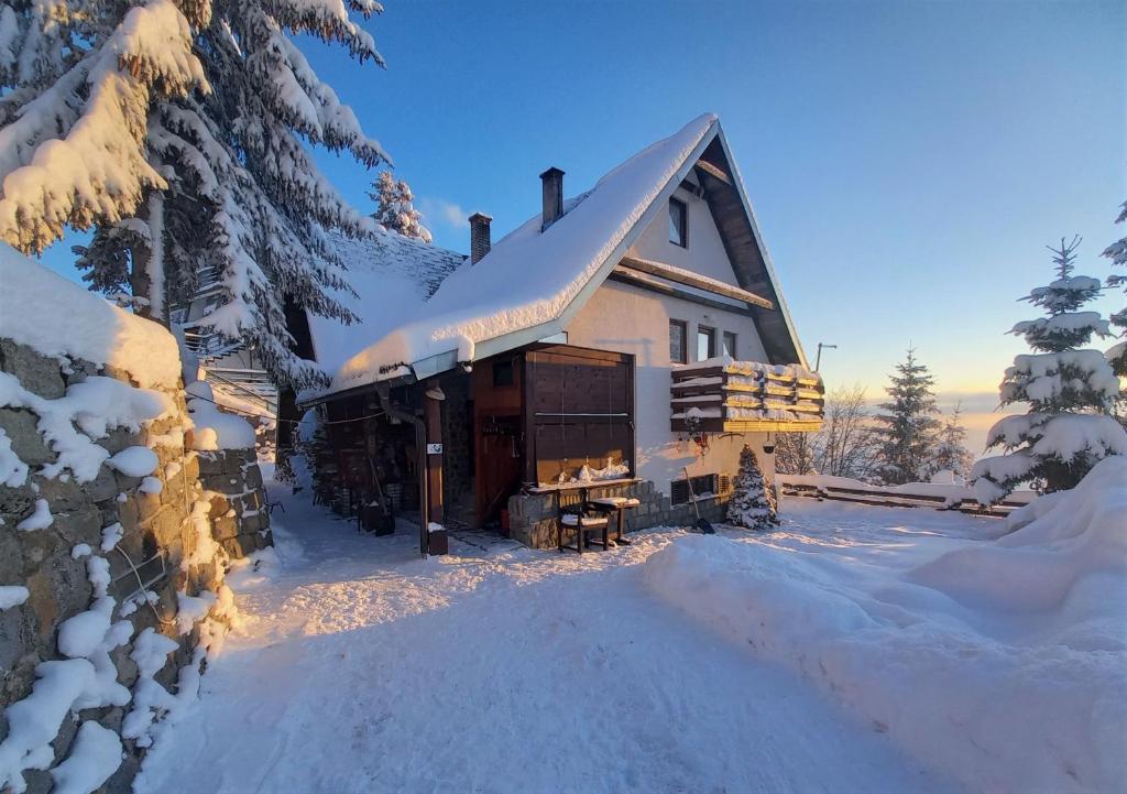 una cabina nella neve con alberi innevati di Holiday Home Dana Kopaonik a Kopaonik