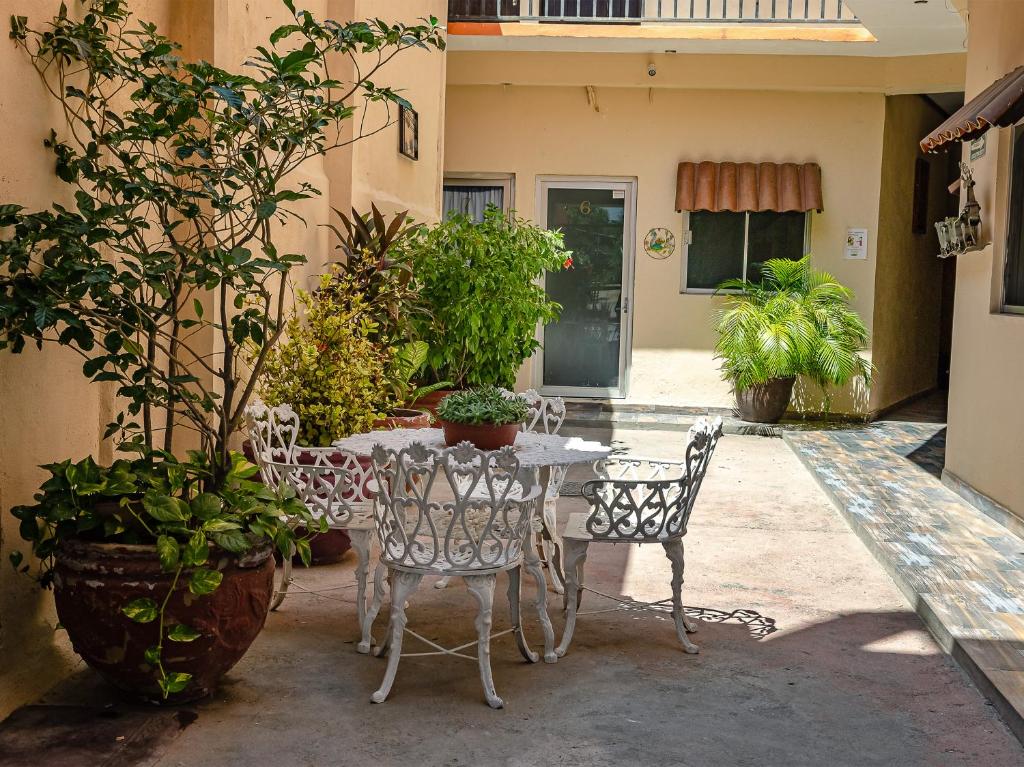 卡波聖盧卡斯的住宿－OYO Hotel Cabo Del Sur, Cabo San Lucas，庭院里种有盆栽植物,配有桌椅