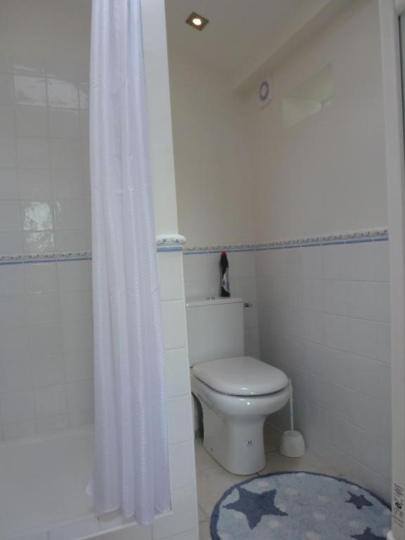 a bathroom with a white toilet and a shower at Cottage Blagnac in Beauzelle