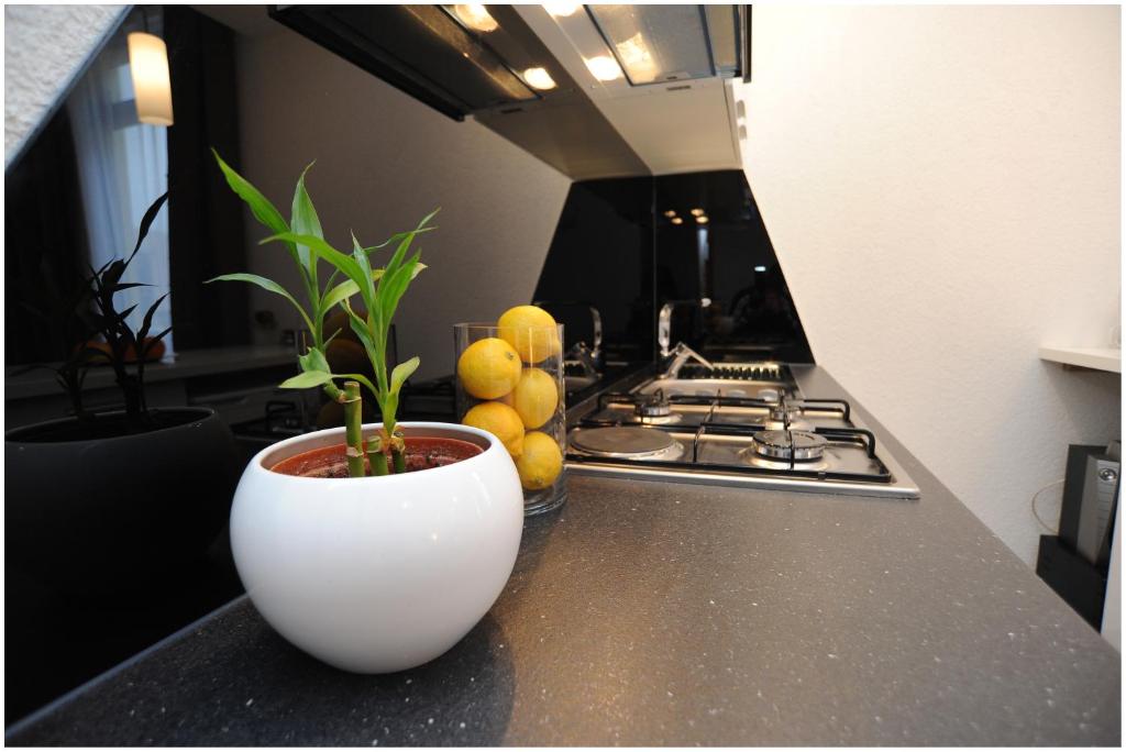 Guest house D&G -I apartment & room - 4