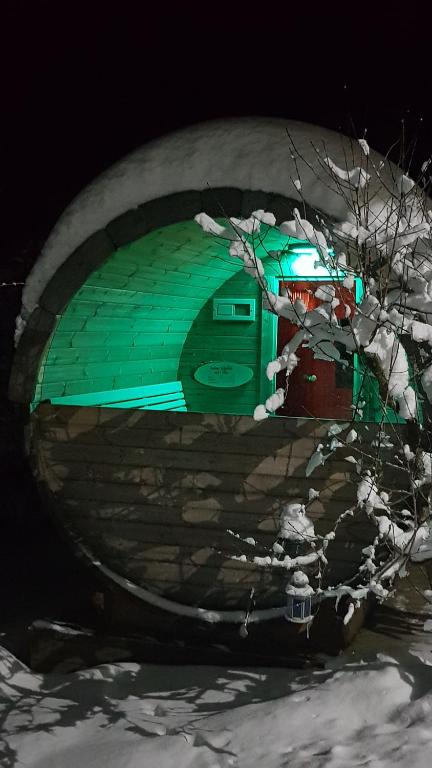 obraz zielonego budynku w śniegu w obiekcie Knusperhäuschen Maria Nikoletta w mieście Witra