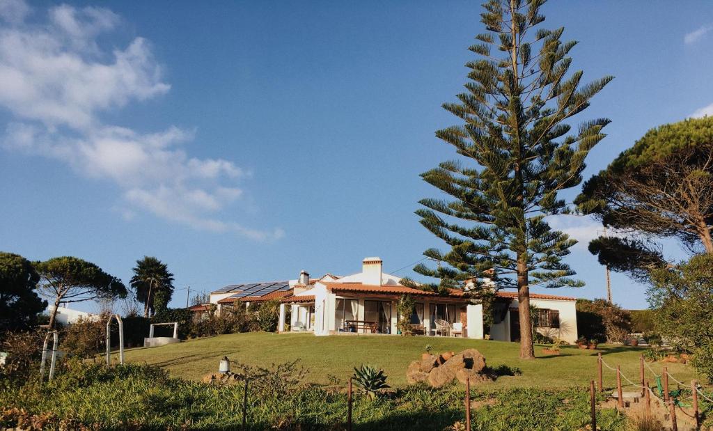 una casa con un árbol delante de ella en Surf Vilas by Laneez Ericeira, en Ericeira