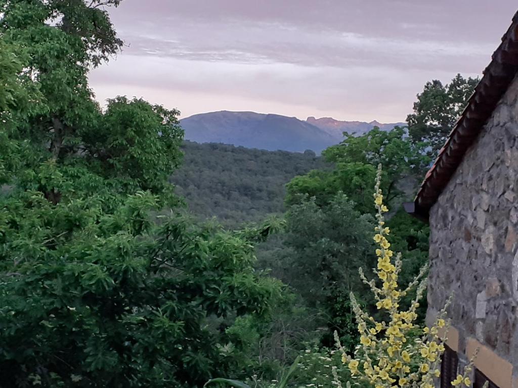 Los Castaños, Solana de Ávila (precios actualizados 2026)