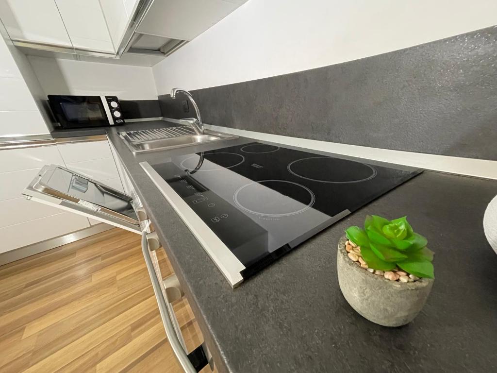 Rentopolis Apartments - Palazzo Candiani - Apartment With Balcony