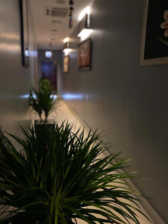 Fotografie z fotogalerie ubytování Ct Hotel v destinaci Sitiawan