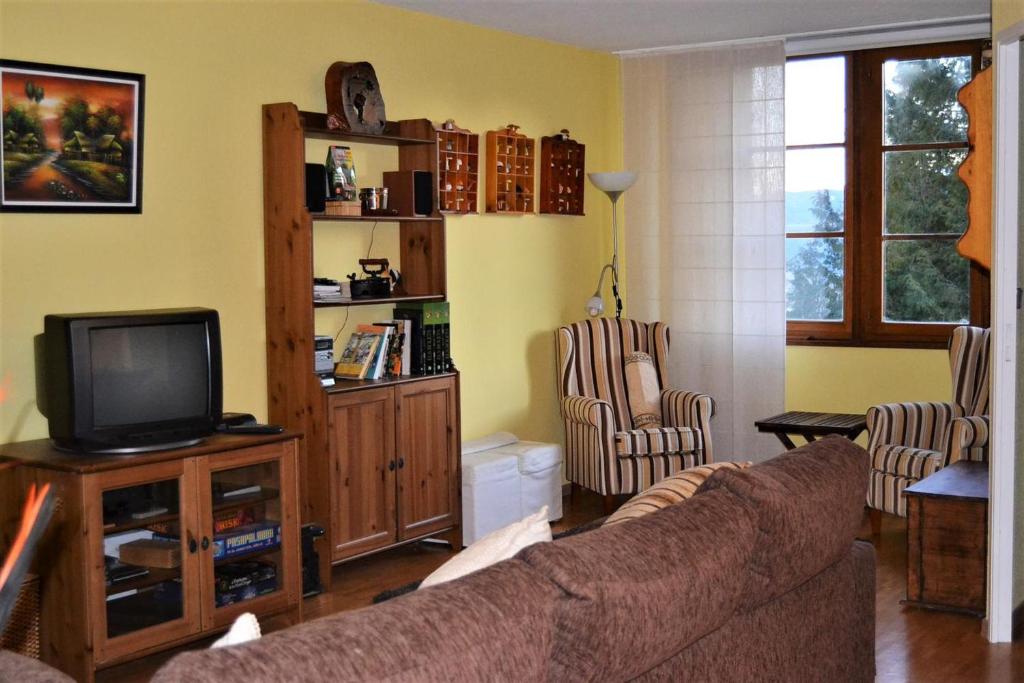 a living room with a couch and a tv at Apartamento con piscina en Enveitg in Enveitg