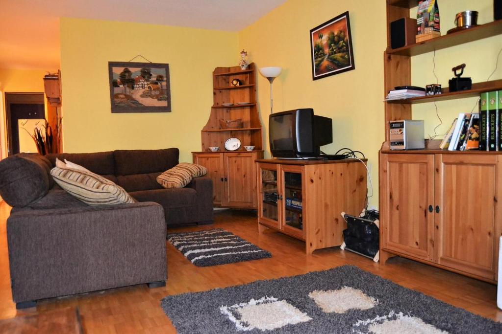 a living room with a couch and a tv at Apartamento con piscina en Enveitg in Enveitg