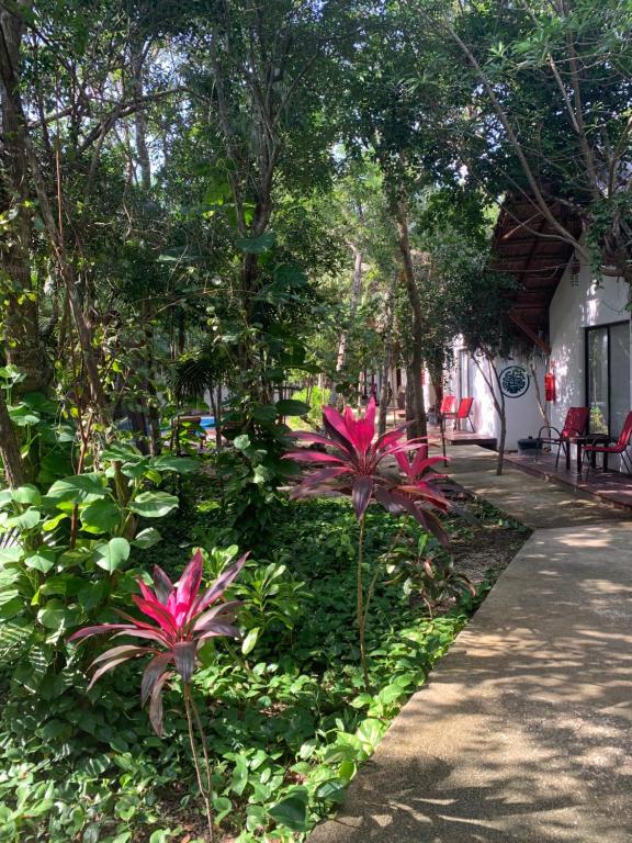 a garden with pink flowers next to a sidewalk at Collection O EcoVergel Hotel Boutique Spa in Tulum in Chemuyil